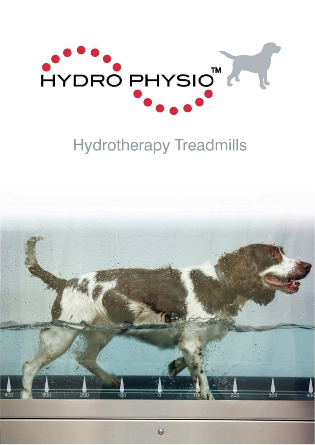 Bañera para perros HYDROPHYSIO