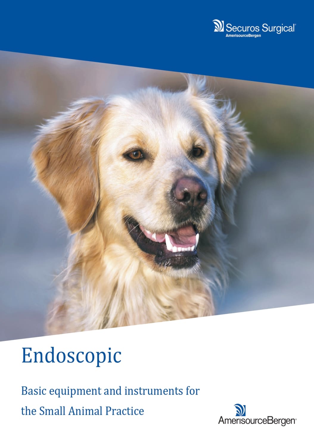 Catálogo de Endoscopia